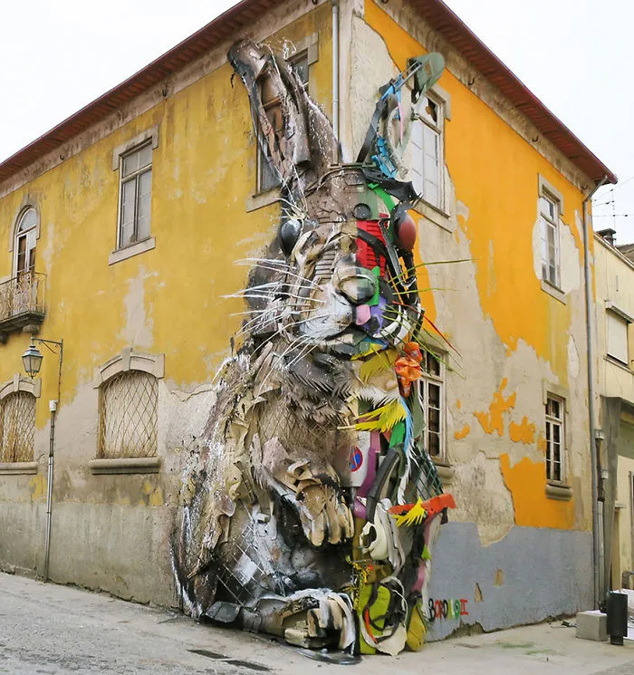 Rabbit