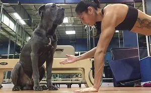 Best Workout Partner