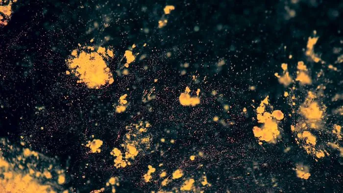 Making Miniature Galaxies- A Close Up Look At Soap And Oil