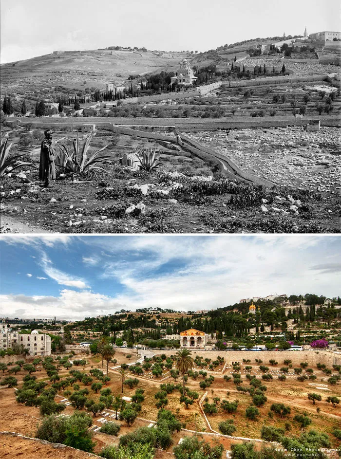 Mount Of Olives: View From The Kidron Valley