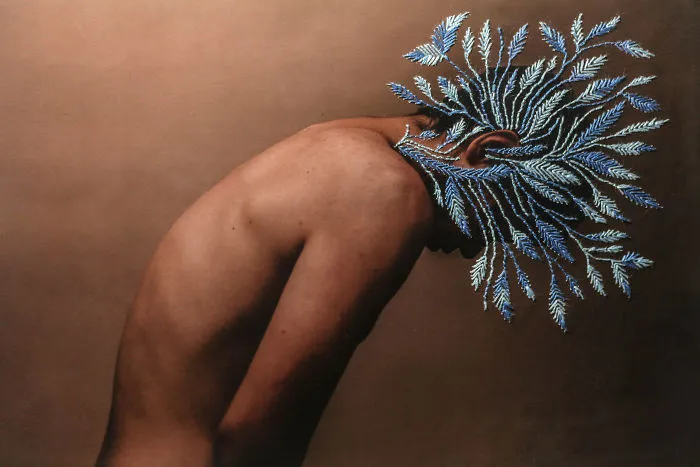 Photography Merges With Delicate Embroidery In Works By This Brazilian Artist