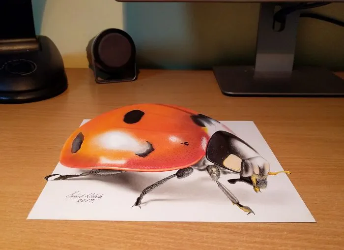 3D Drawings That I Create To Confuse People (Part 3)