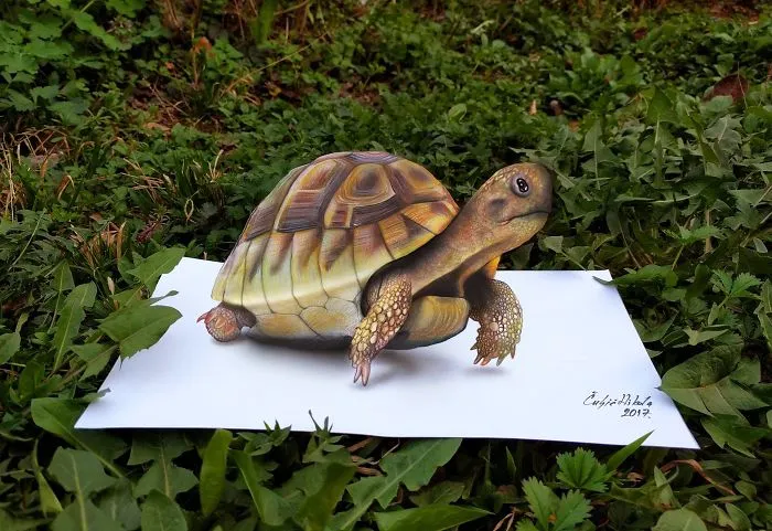 3D Drawings That I Create To Confuse People (Part 3)