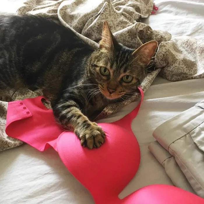Caught Red Handed