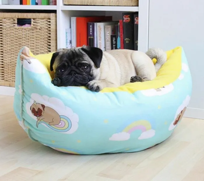 These Pugs Have The Hardest Job