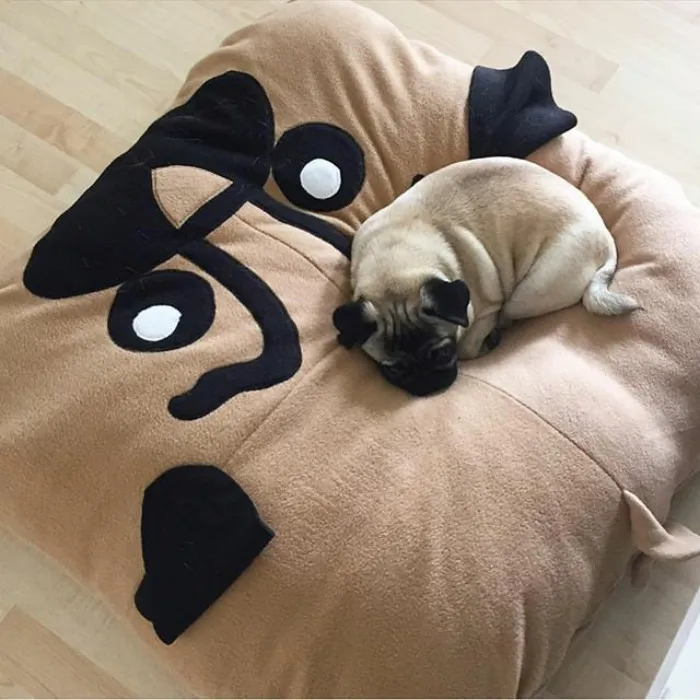 These Pugs Have The Hardest Job