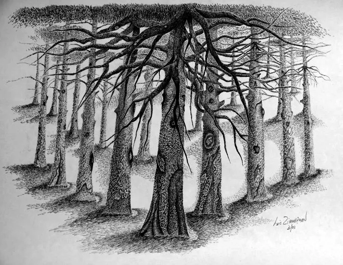 Imagination Time... Another One Of Those! Grabbed My Sketch Pad And Pencil And Just Let My Inner Vision Do The Rest. Please Check My Website Www.luzimmscratchart.com