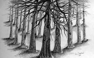 Imagination Time... Another One Of Those! Grabbed My Sketch Pad And Pencil And Just Let My Inner Vision Do The Rest. Please Check My Website Www.luzimmscratchart.com