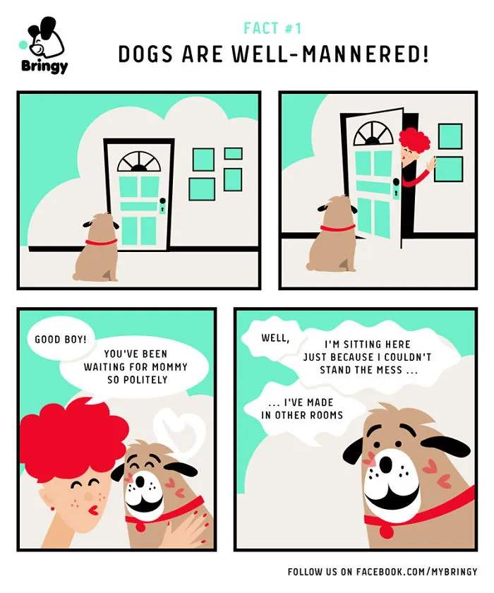 All About Dogs - By Bringy