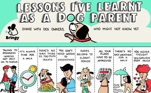 Funny Rip-Off Flyers For Dog Parents - By Bringy