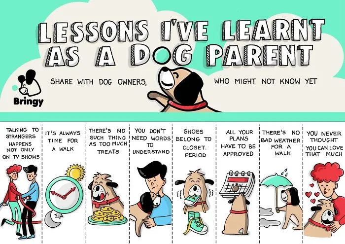 Funny Rip-Off Flyers For Dog Parents - By Bringy