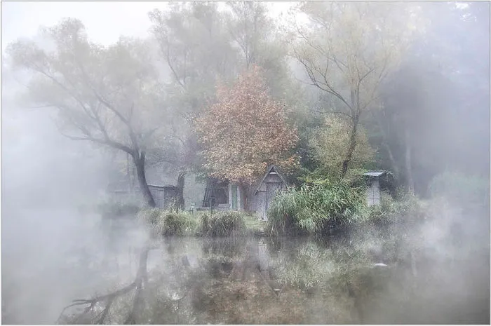 Behind The Mist