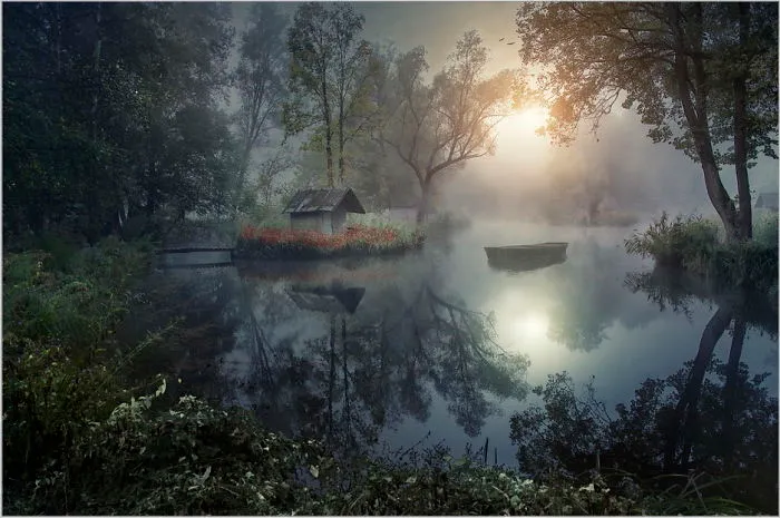 Misty Morning
