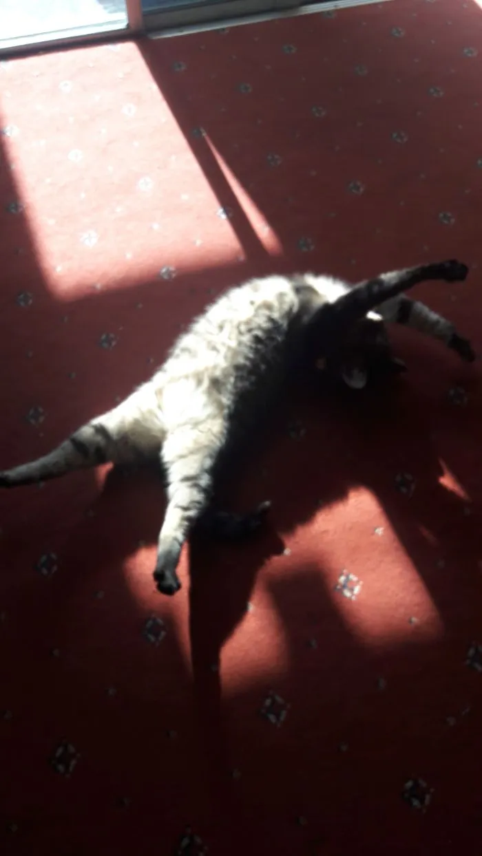 It's Really Hard To Tell But She Likes The Sun...