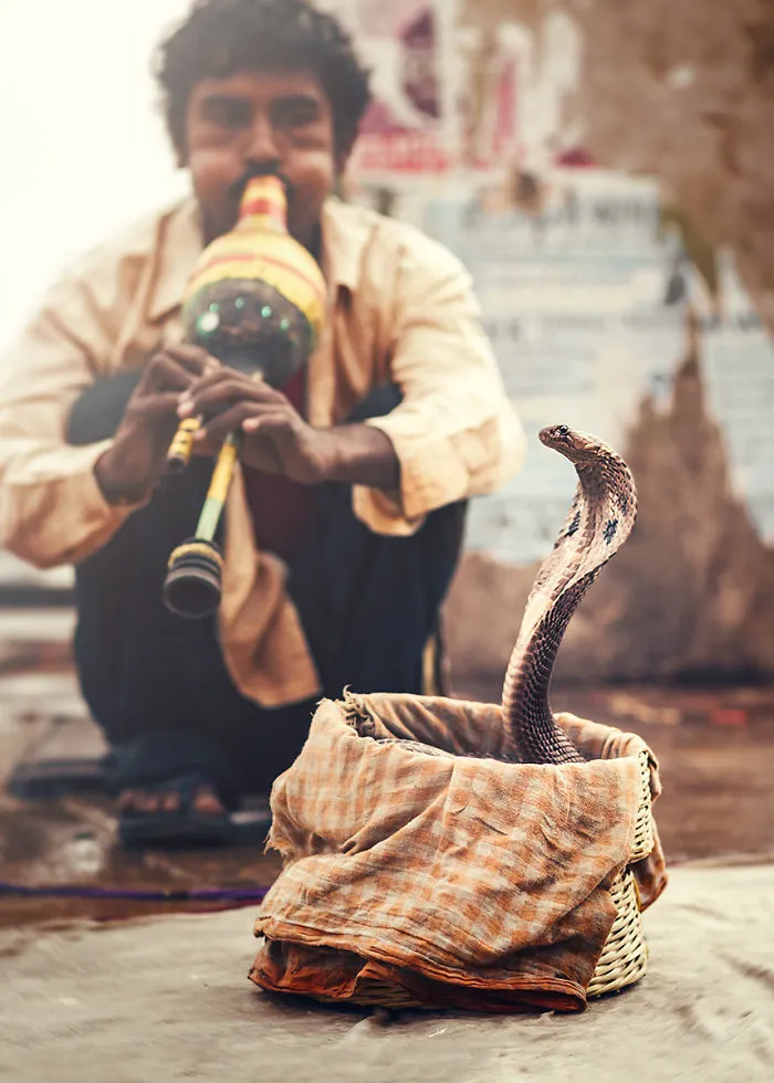 I Traveled To World's One Of The Oldest City To Photograph Its People And Spiritual Atmosphere