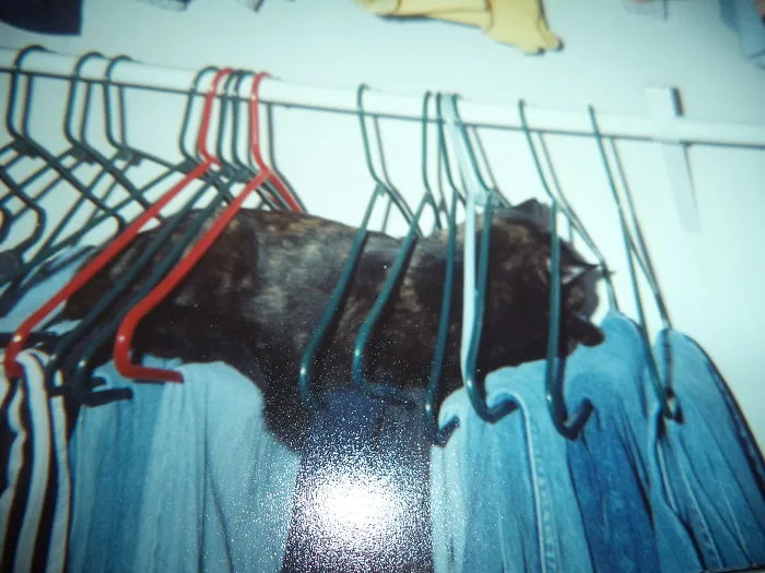 This Is My Favorite Place To Sleep. Shhhhh.