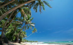 Our Adventure In Sri Lanka