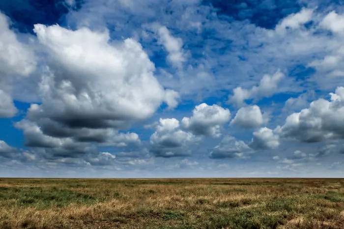 You Can't Miss Your Pictures In Tanzania