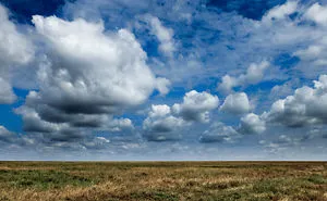 You Can't Miss Your Pictures In Tanzania