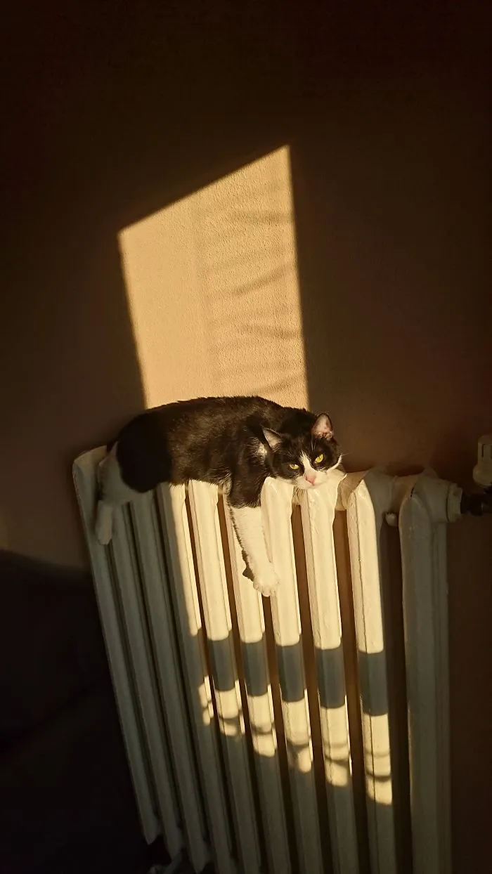 Chillout!