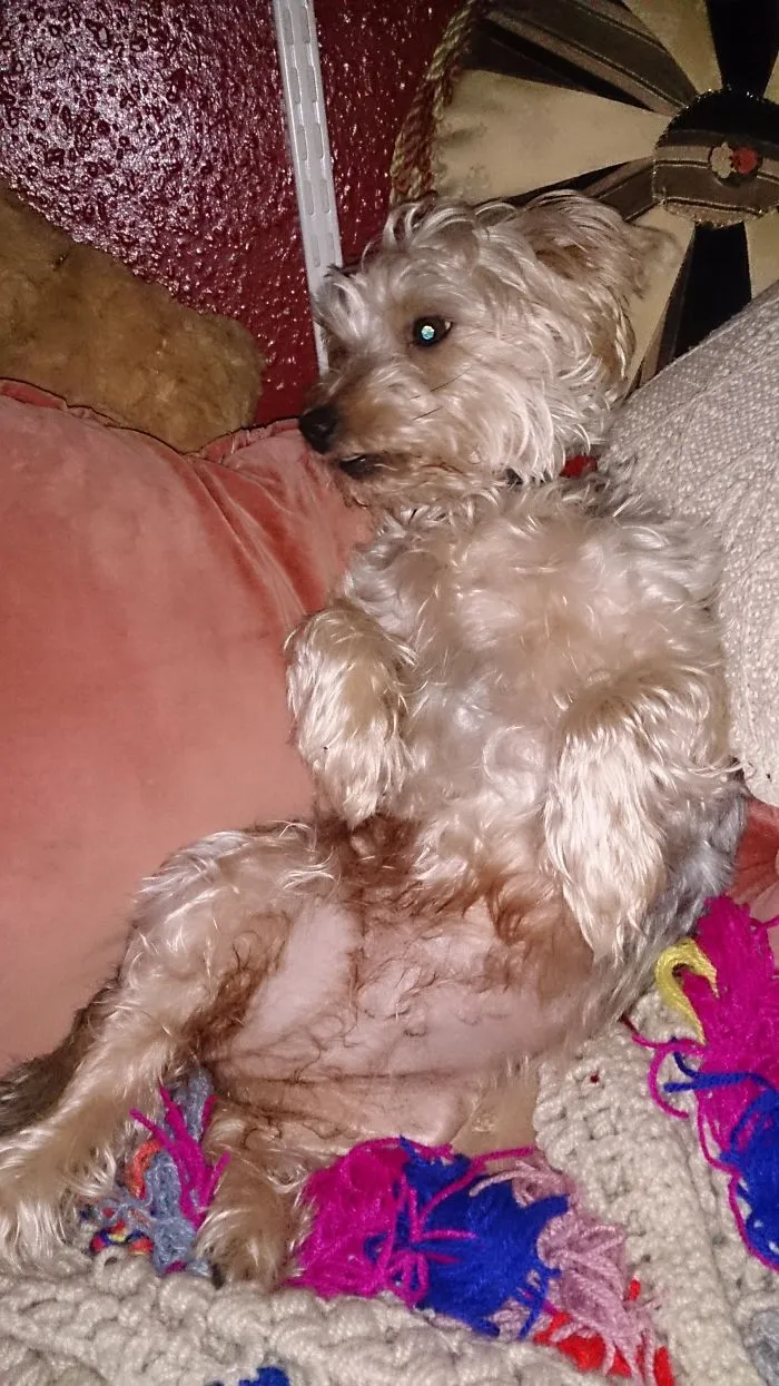 Chillaxing....