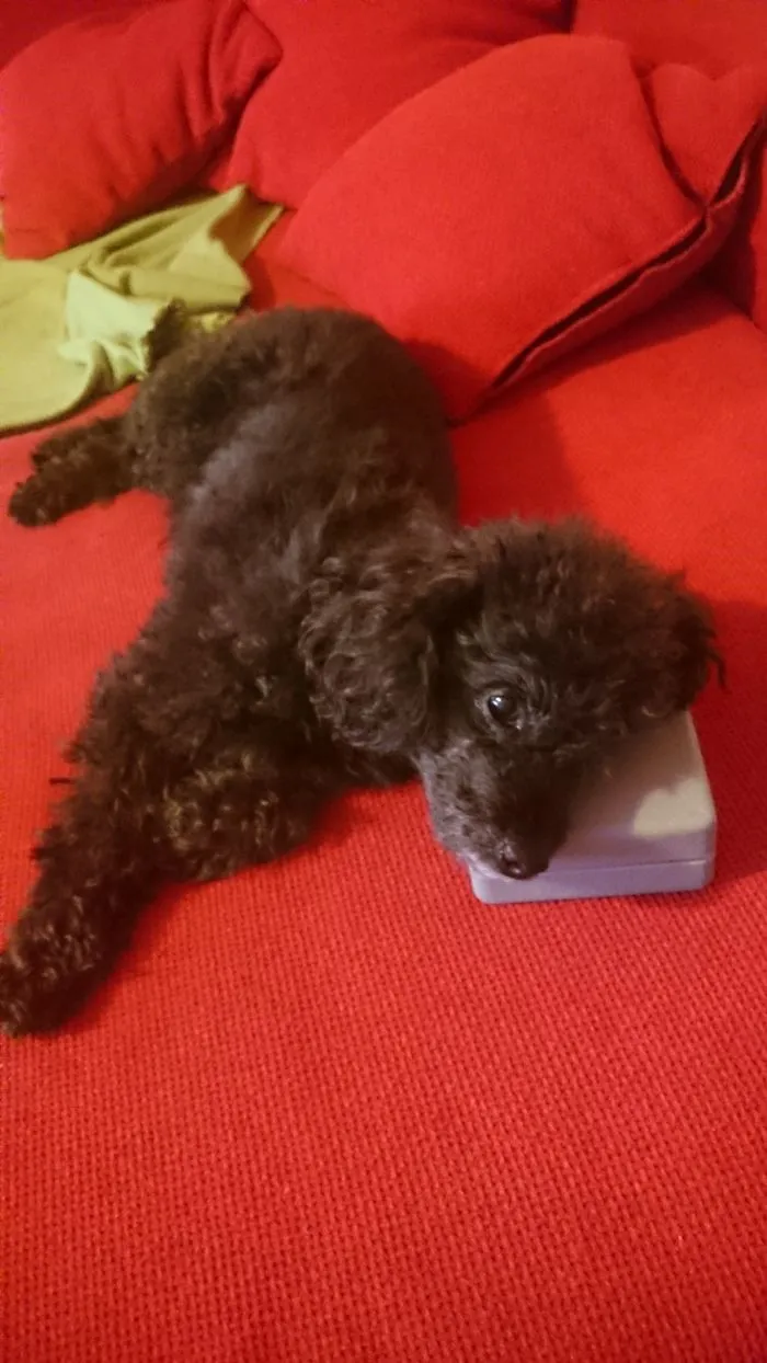 The Best Pillow Is A Plastic Box