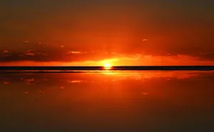 Reflection