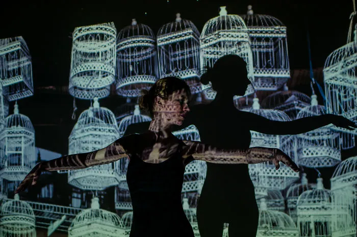 I Used A Projector To Portray The Magic Of A Soul