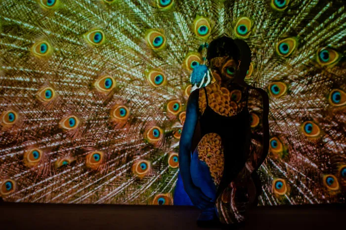 I Used A Projector To Portray The Magic Of A Soul