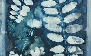 I Create Beautiful Mistakes Deliberately Wrecking Cyanotype Photo Process
