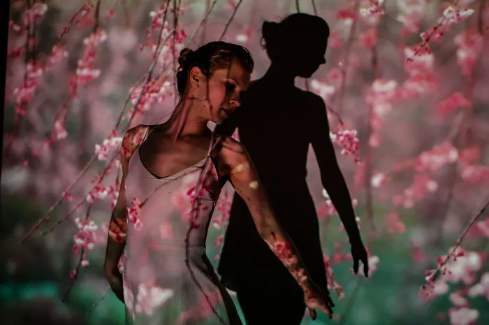 I Used A Projector To Portray The Magic Of A Soul