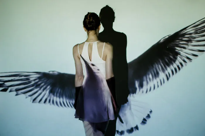 I Used A Projector To Portray The Magic Of A Soul