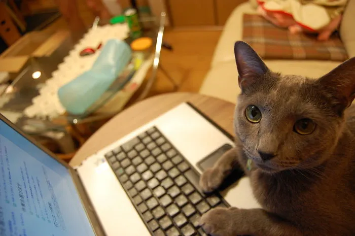 Yes,i Ordered.