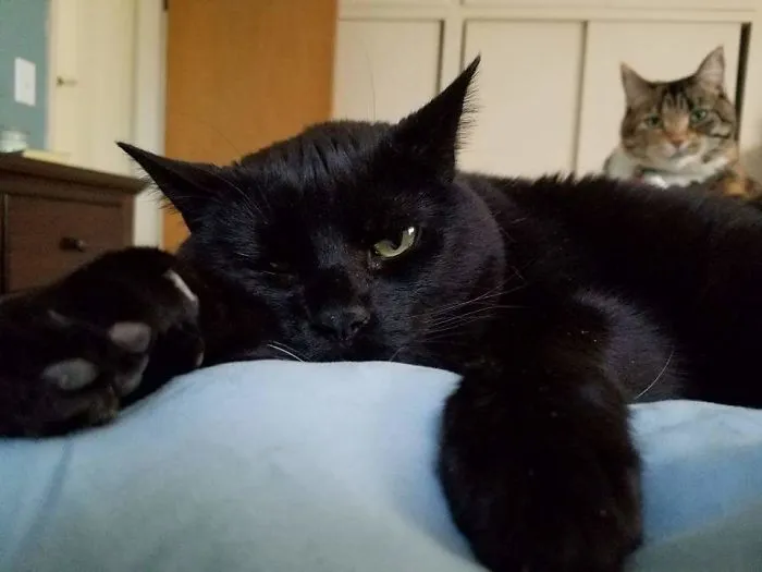 So Sorry You're Sick, Mom. By The Way, What's For Dinner?