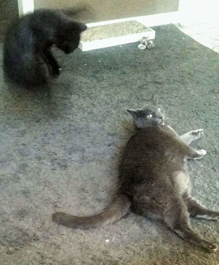 I Wish A Had Recorded This Moment Instead Of Just Snapping A Photo.