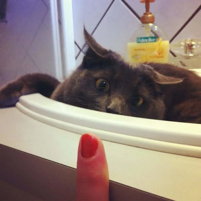 We Have Contact. Lock On Target. Destroy.
