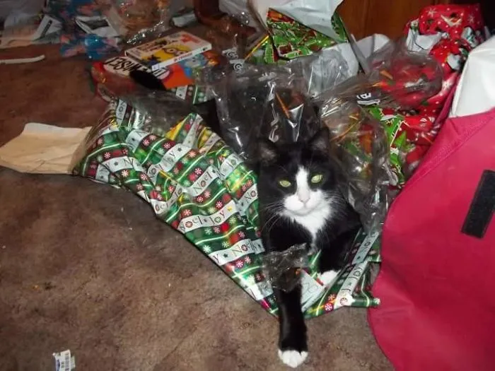 Merry Christmas You Filthy Animal.