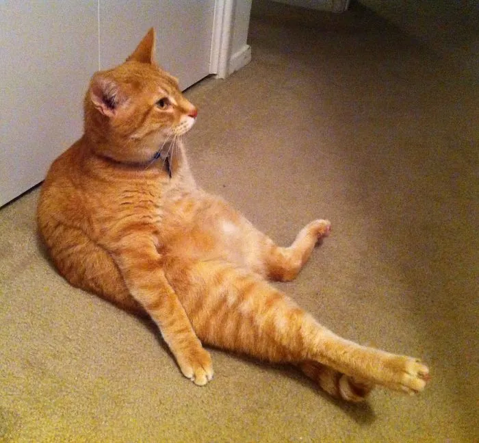 What? I Always Sit Like This.