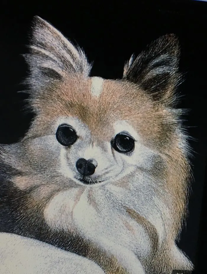 "Oh Yes...it's Me, Miss Hairy Chi" - I Fell In Love With It When I Saw Her And Had To Draw Her My Own Way! -Www.luzimmscratchart.com