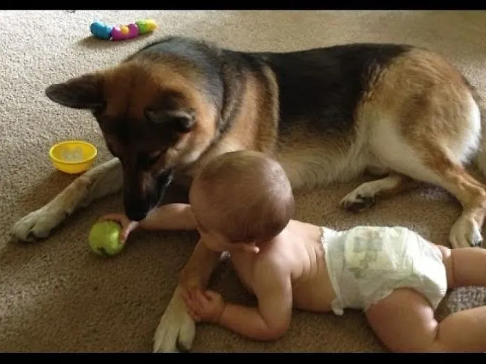 Child And Puppy Sleeping Together