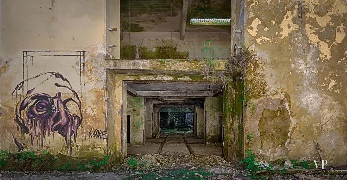 I Photographed This Beautiful Abandoned Powerplant