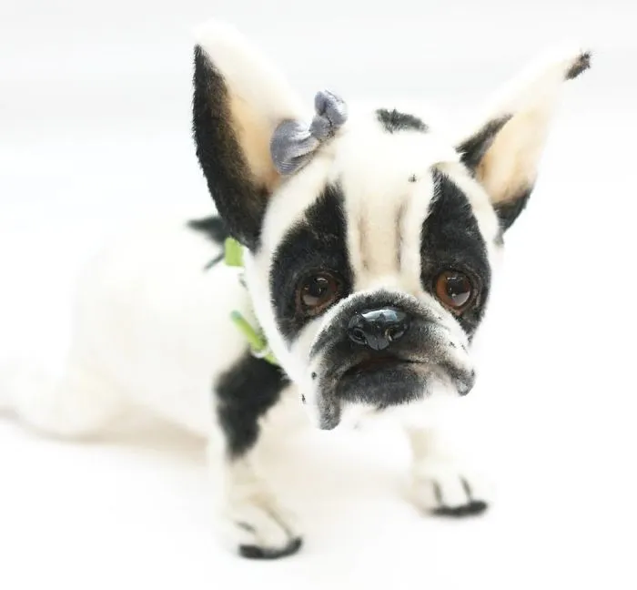 I Create Unique And Completely Handmade Dogs