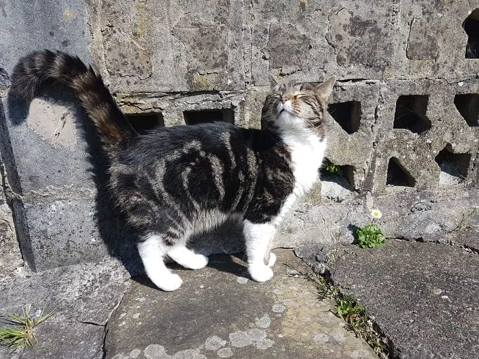 Sun Worship!