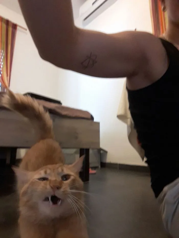 Wtf