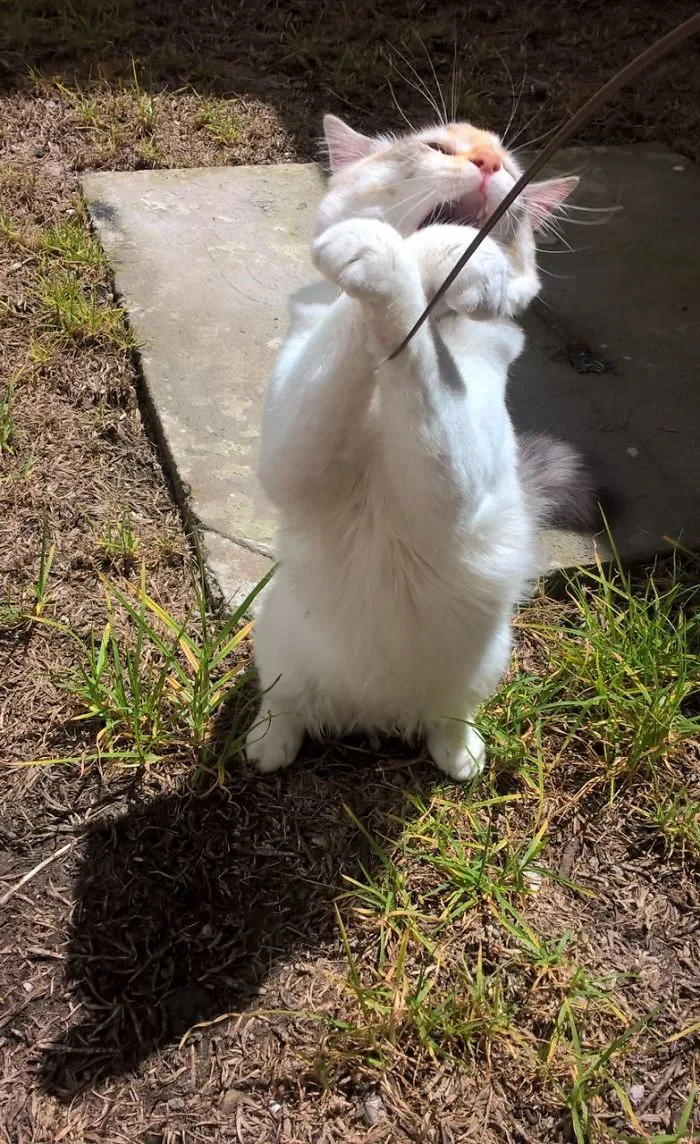 How Exiting Leeloo!