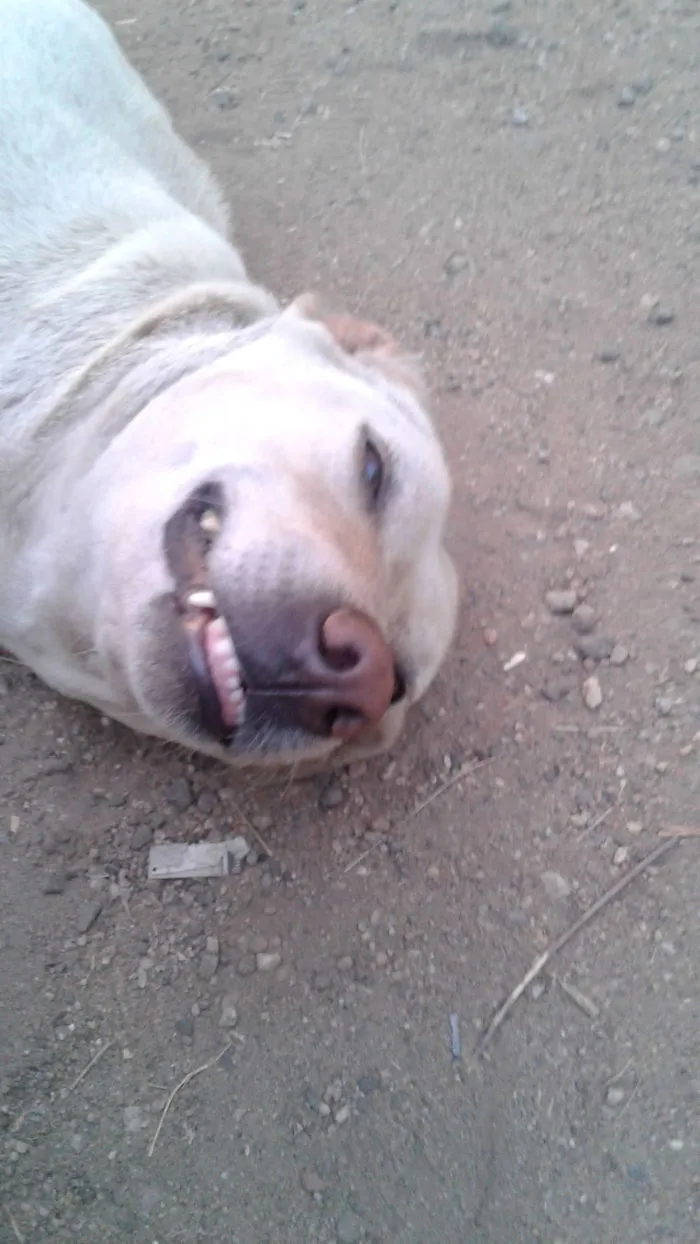Isn't He Handsome????