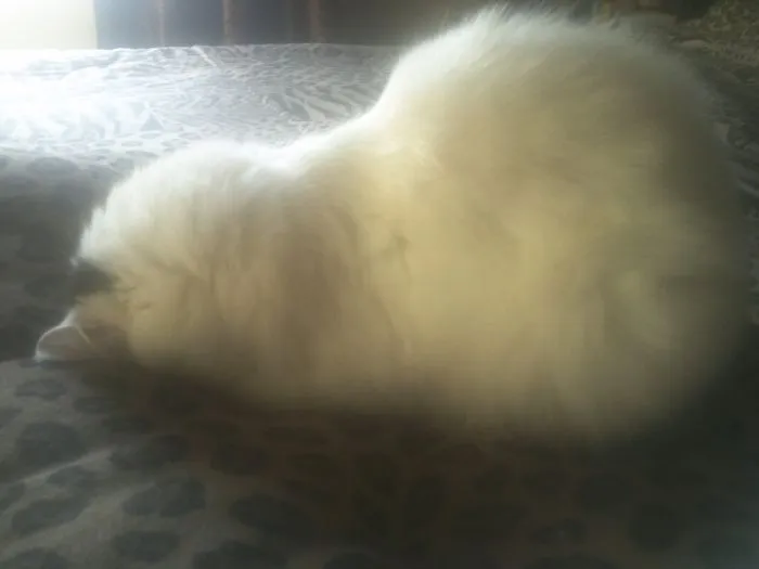 Sleeping