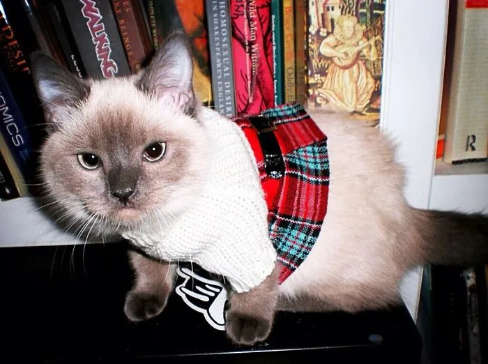 Violet Is Hitting The Books After Her First Day Of School