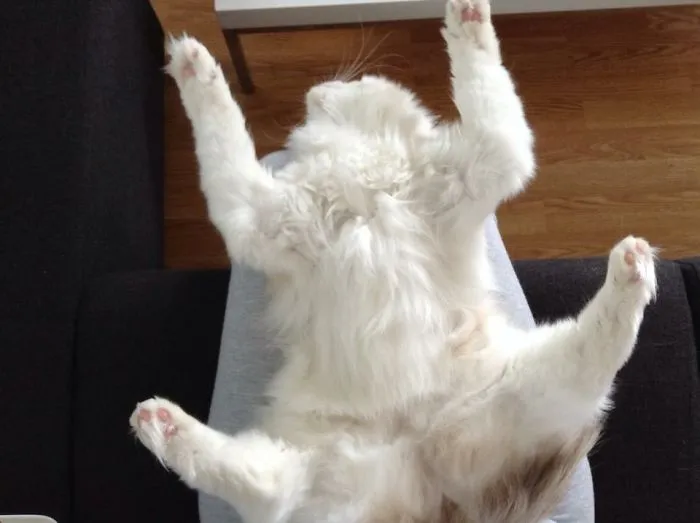 It Looks Like She's Broken...