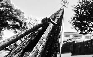 I Take Photos Of Everyday Things, At Weird Angles.